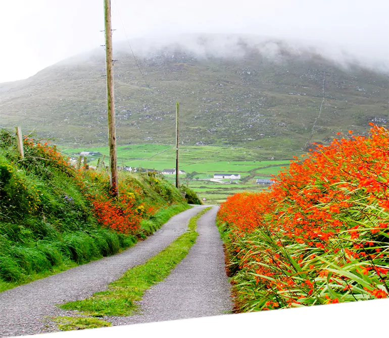 Sightseeing Tours of Ireland