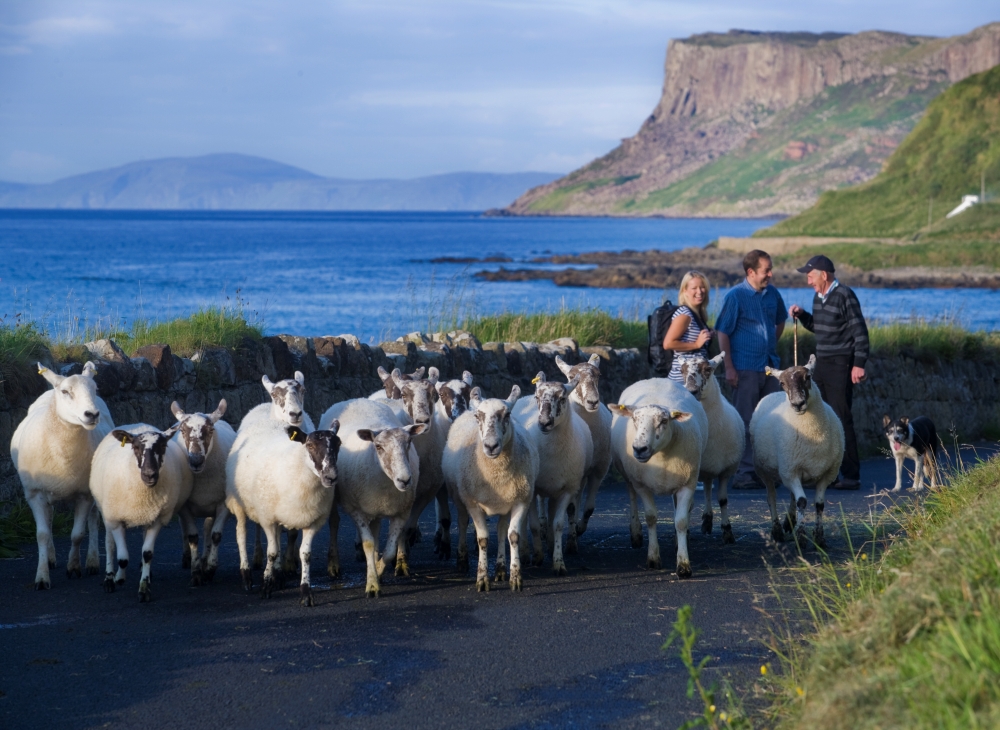 Blog 5 Tips to find the authentic Myth   Magic of Ireland